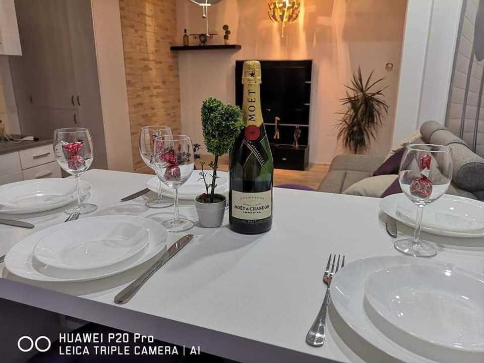 Apartament Mario Mamaia Nord Plaja Zanzibar Năvodari 외부 사진