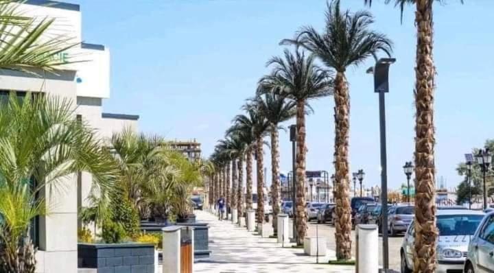 Apartament Mario Mamaia Nord Plaja Zanzibar Năvodari 외부 사진